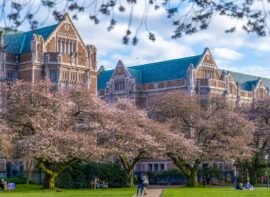 What Time Is It in Seattle, Washington, USA – Real-Time Clock & FAQ