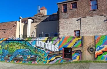 blog-grid-1-410x308