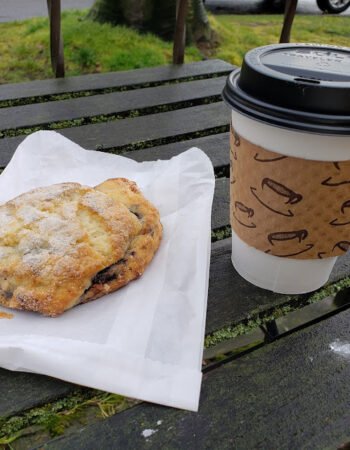 A Muddy Cup Cafe’ & Roastery