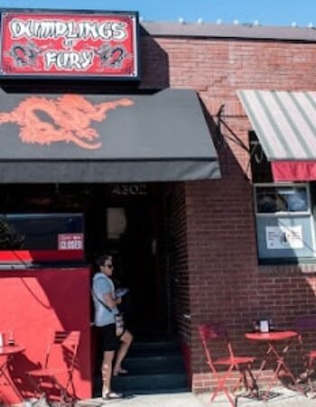 Dumplings of Fury