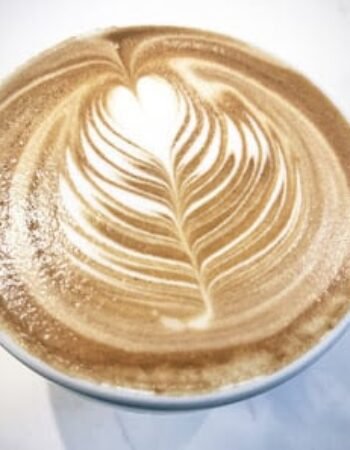 Fonte Coffee – 8th Avenue