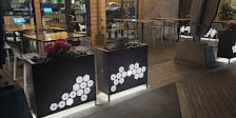 Kizuki Ramen & Izakaya｜Northgate | Enjoy handcrafted ramen and izakaya
