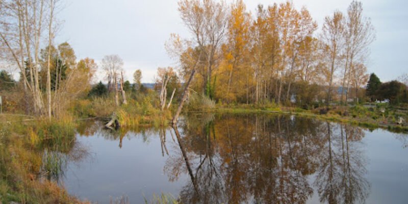Warren G. Magnuson Park